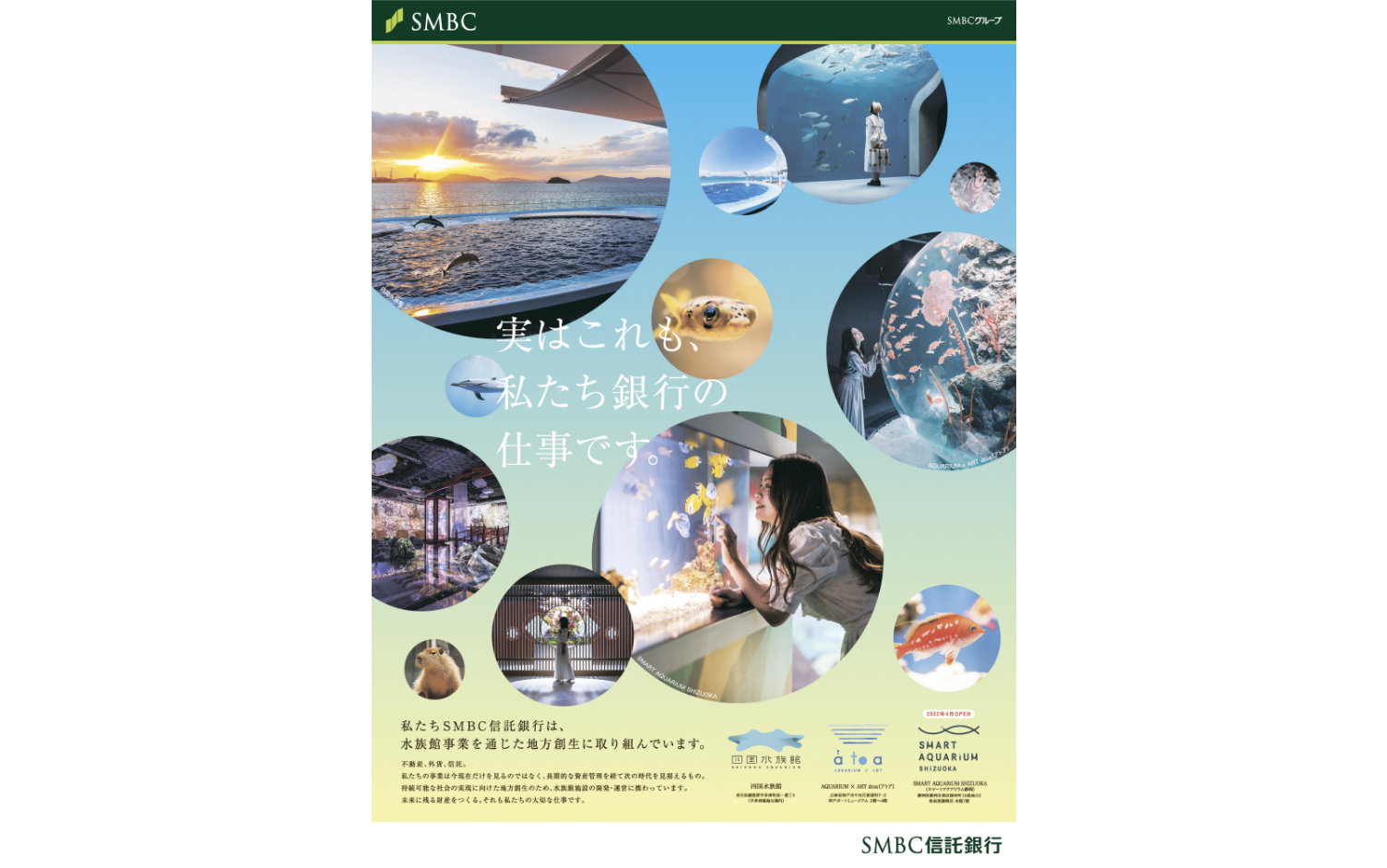SMBC信託銀行水族館事業　新聞広告制作