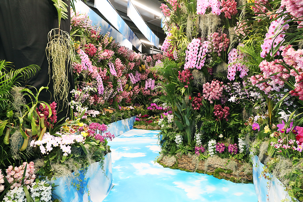 天空の花園