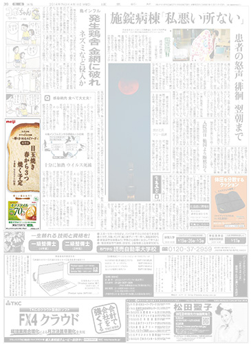 作品画像