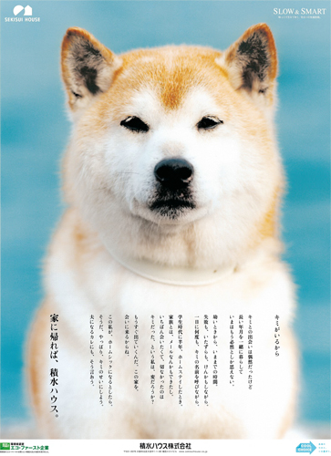 作品画像