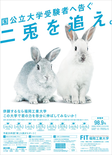 作品画像