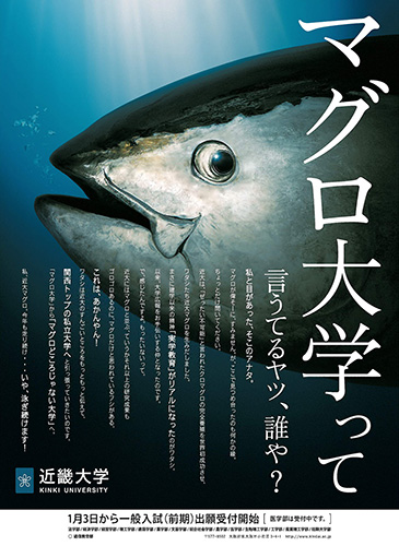 作品画像