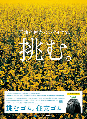 作品画像