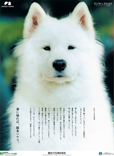 作品画像