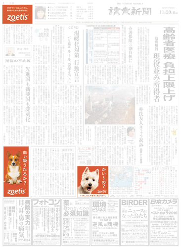 作品画像