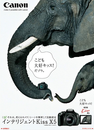 作品画像