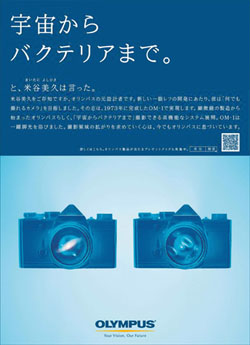作品画像