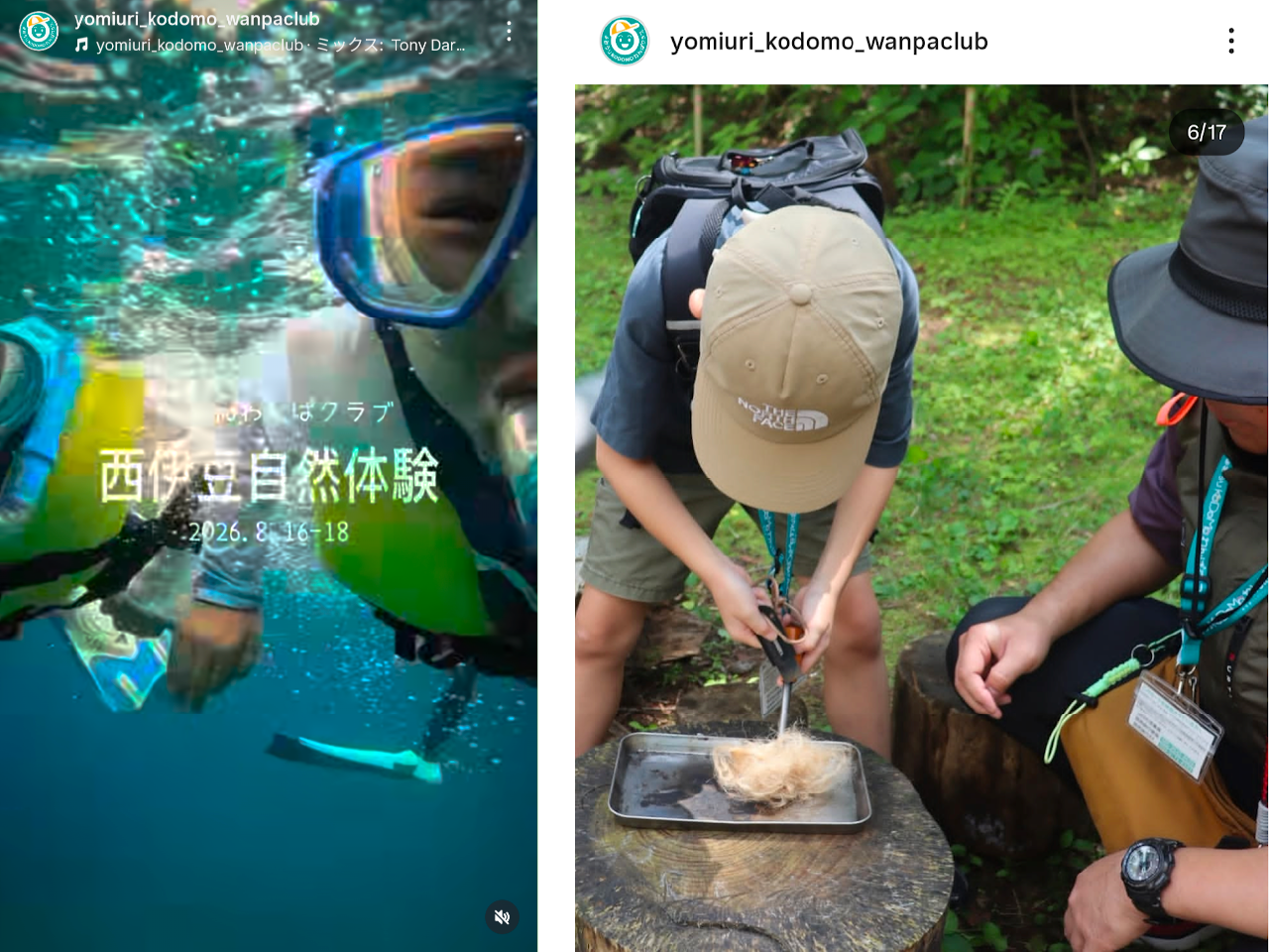 子ども限定のツアー旅行で一生モノの経験を　「よみうりKODOMOわんぱクラブ」